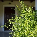 Olive Grove Zakynthos Appartement Langadhákia