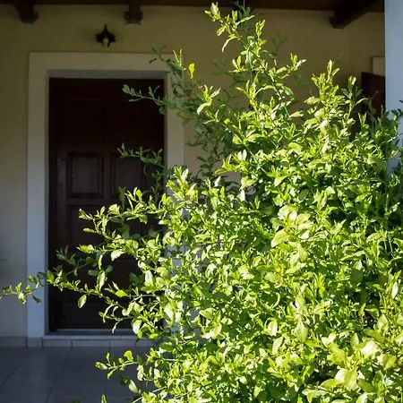 Olive Grove Zakynthos Appartement Langadhákia
