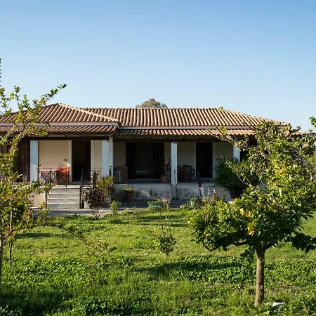 Olive Grove Zakynthos *