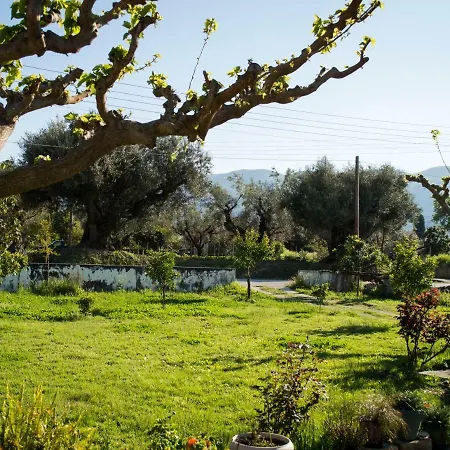 Διαμέρισμα Olive Grove Zakynthos