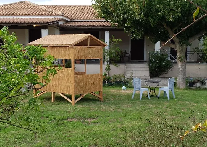 Olive Grove Zakynthos *