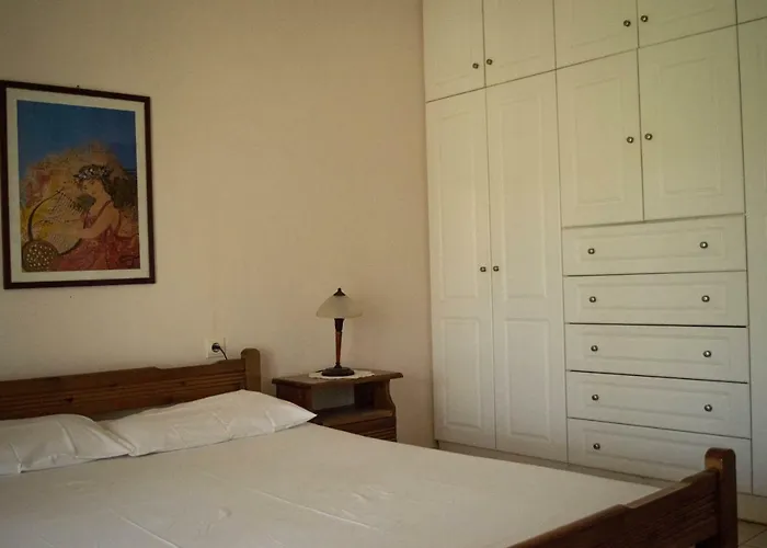 Olive Grove Zakynthos *