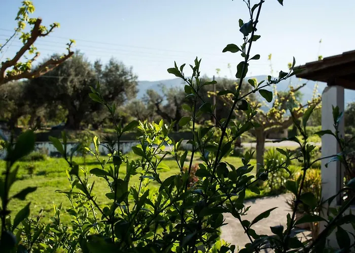 Apartmán Olive Grove Zakynthos