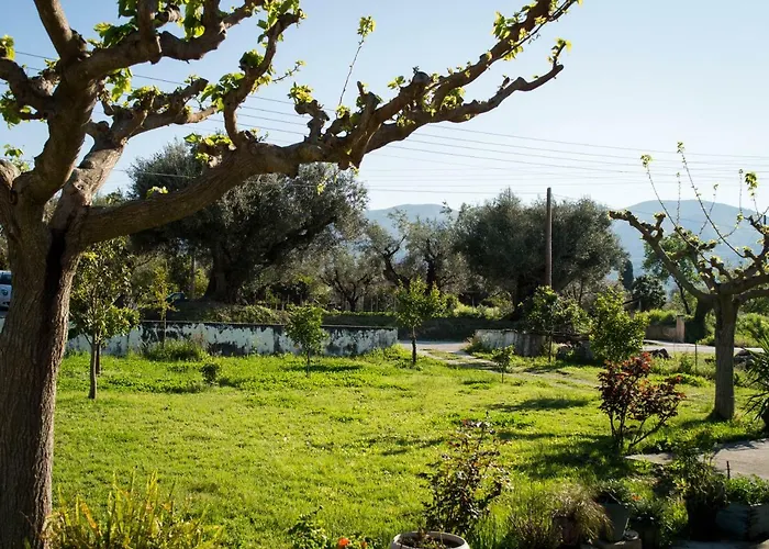 Apartmán Olive Grove Zakynthos