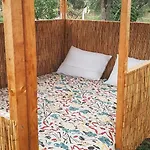 Διαμέρισμα Olive Grove Zakynthos Λαγκαδάκια